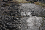 2008_11_26_MeandresDeLave/img_3295.jpg