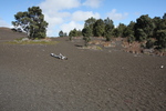 2008_11_27_DevastationTrail/img_3871.jpg