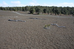 2008_11_27_DevastationTrail/img_3883.jpg