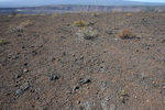 2008_11_27_DevastationTrail/img_3890.jpg