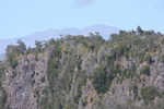 2008_11_27_DevastationTrail/img_3929.jpg