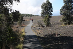2008_11_27_DevastationTrail/img_3935.jpg