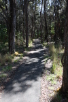 2008_11_27_DevastationTrail/img_3943.jpg
