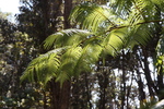 2008_11_27_DevastationTrail/img_3945.jpg