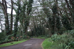 2008_11_27_LavaTreeStateMonument/img_4181.jpg