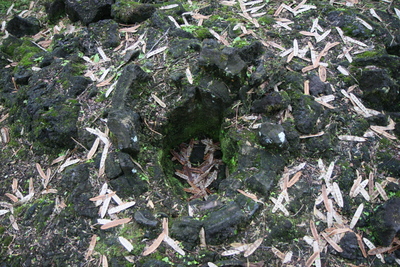 diaporamas/2008_11_27_LavaTreeStateMonument/img_4184.jpg