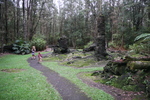 2008_11_27_LavaTreeStateMonument/img_4193.jpg