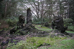 2008_11_27_LavaTreeStateMonument/img_4196.jpg