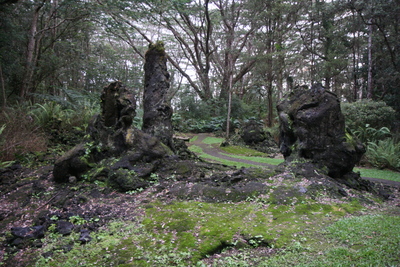 diaporamas/2008_11_27_LavaTreeStateMonument/img_4196.jpg