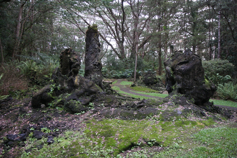 diaporamas/2008_11_27_LavaTreeStateMonument/img_4196.jpg