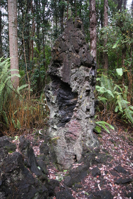 diaporamas/2008_11_27_LavaTreeStateMonument/img_4199.jpg