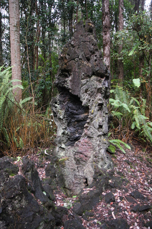 diaporamas/2008_11_27_LavaTreeStateMonument/img_4199.jpg