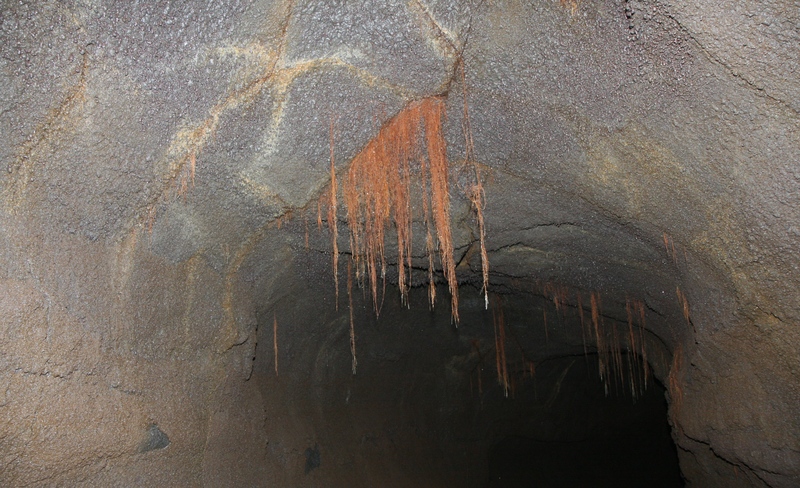 2008_11_27_ThurstonLavaTube/img_3794Z.jpg