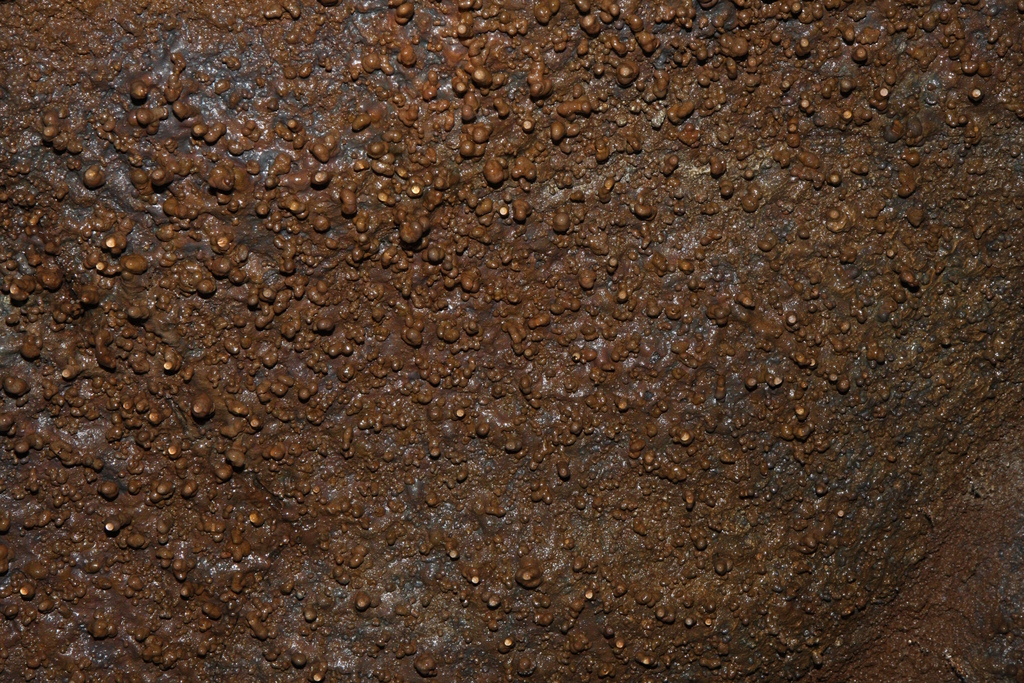 diaporamas/2008_11_27_ThurstonLavaTube/img_3797.jpg