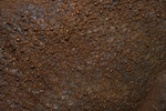 2008_11_27_ThurstonLavaTube/img_3797.jpg