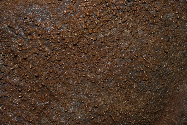 diaporamas/2008_11_27_ThurstonLavaTube/img_3797.jpg