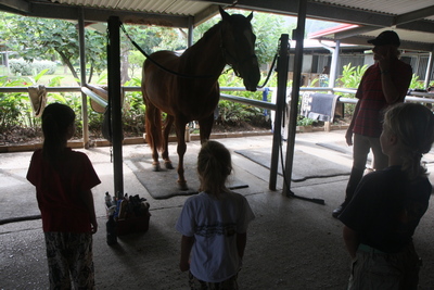 diaporamas/2009_07_04_Horses_BestOf/img_1092.jpg