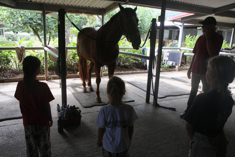 diaporamas/2009_07_04_Horses_BestOf/img_1092.jpg