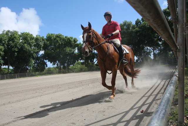 diaporamas/2009_07_04_Horses_BestOf/img_1142.jpg