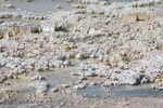 2010-07-16-UpperBasin/CVimg_8701.jpg