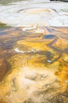 2010-07-16-UpperBasin/img_7721.jpg