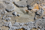 2010-07-16-UpperBasin/img_7765.jpg