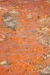2010-07-16-WestThumb/CVimg_8600.jpg