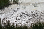 2010-07-16-WestThumb/CVimg_8633.jpg