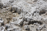 2010-07-16-WestThumb/img_7497.jpg