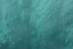 2010-07-16-WestThumb/img_7513.jpg