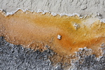 2010-07-16-WestThumb/img_7514.jpg