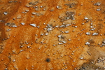2010-07-16-WestThumb/img_7519.jpg
