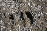 2010-07-16-WestThumb/img_7543.jpg