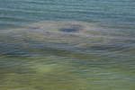 2010-07-16-WestThumb/img_7550.jpg