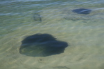2010-07-16-WestThumb/img_7551.jpg