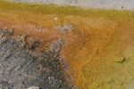 2010-07-16-WestThumb/img_7604.jpg