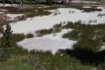 2010-07-16-WestThumb/img_7618.jpg