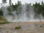 2010-07-18-LowerGeyserBasin/img_0658.jpg