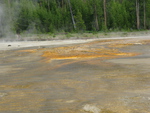 2010-07-18-LowerGeyserBasin/img_0698.jpg