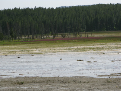diaporamas/2010-07-18-LowerGeyserBasin/img_0699.jpg