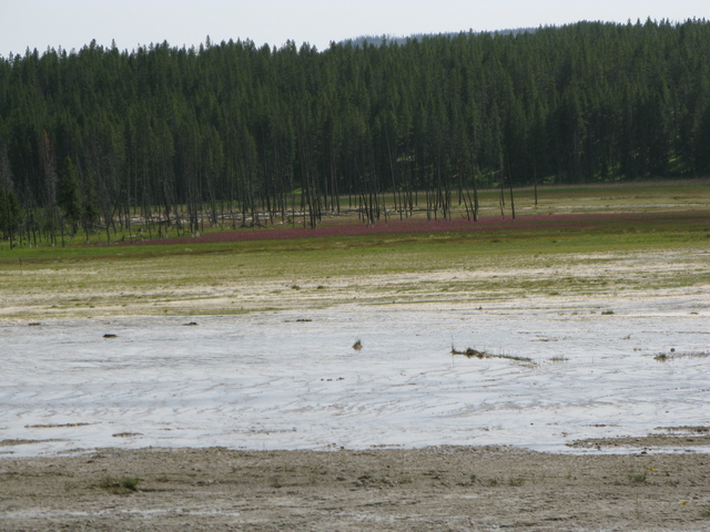 diaporamas/2010-07-18-LowerGeyserBasin/img_0699.jpg