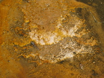 2010-07-18-LowerGeyserBasin/img_0707.jpg