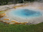 2010-07-18-LowerGeyserBasin/img_0712.jpg
