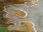 2010-07-18-LowerGeyserBasin/img_0718.jpg