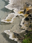 2010-07-18-LowerGeyserBasin/img_0720.jpg