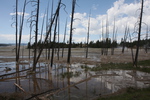 2010-07-18-LowerGeyserBasin/img_8993.jpg