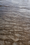 2010-07-18-LowerGeyserBasin/img_8994.jpg