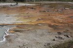 2010-07-18-LowerGeyserBasin/img_9008.jpg