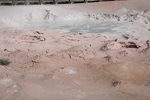 2010-07-18-LowerGeyserBasin/img_9065.jpg