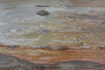 2010-07-18-LowerGeyserBasin/img_9380.jpg